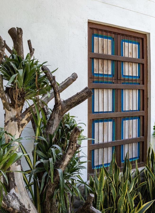Casa Jacaranda Hotel Boutique - Cauca Viejo - Mayores De 14 Anos - Jericoc  Eksteriør bilde