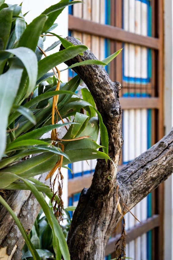 Casa Jacaranda Hotel Boutique - Cauca Viejo - Mayores De 14 Anos - Jericoc  Eksteriør bilde